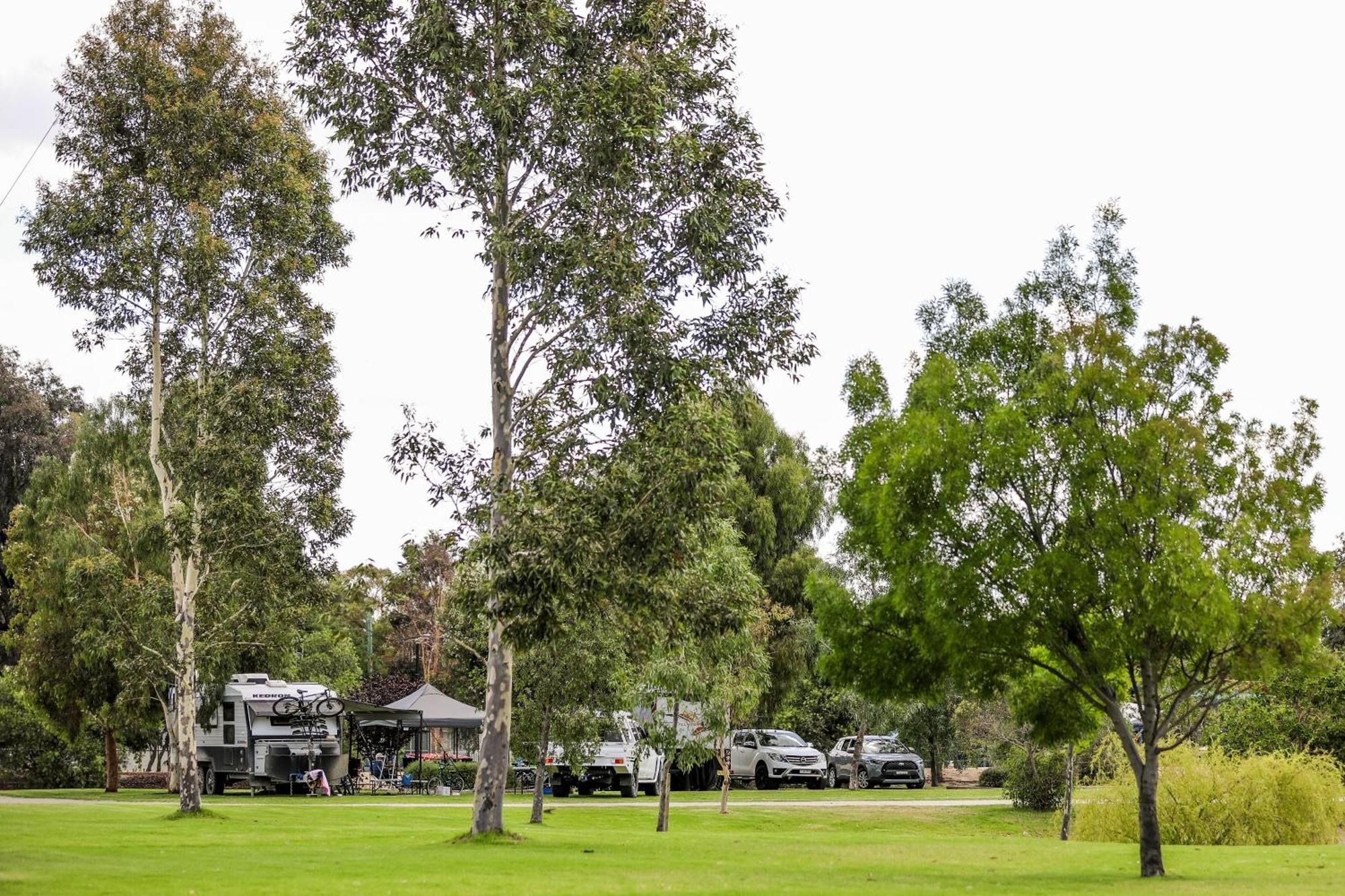 Discovery Parks - Moama Waters Екстер'єр фото