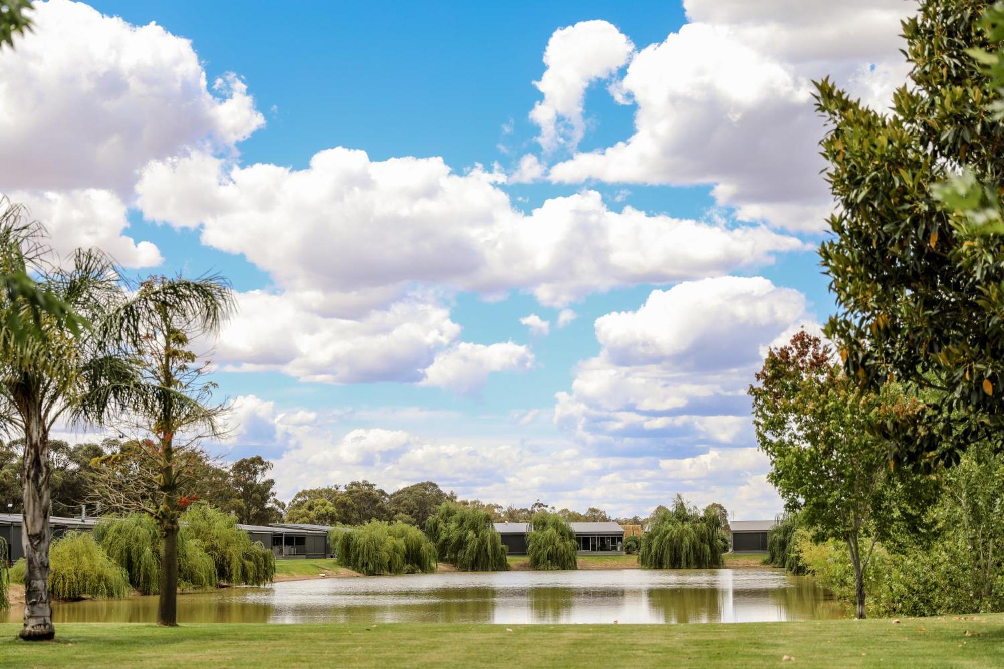 Discovery Parks - Moama Waters Екстер'єр фото